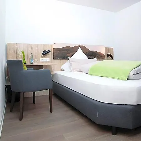 Landgasthof Linde 3* 尼尔廷根